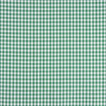 Vichy Kariertes Basic Grün Klein 40 - Ribes y Casals