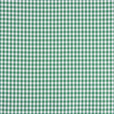 Vichy Kariertes Basic Grün Klein 40 - Ribes y Casals