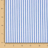 Streifen Blau Klein 4mm - Ribes y Casals