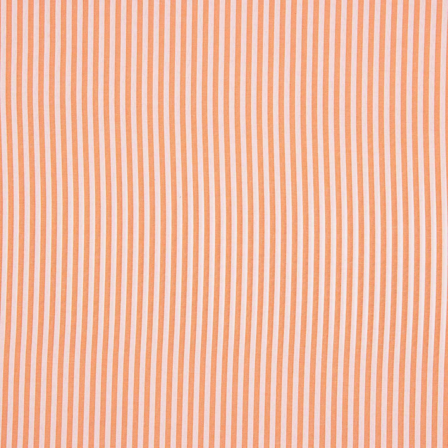 Streifen Orange Klein 40 - Ribes y Casals