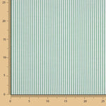 Streifen Grün Mini 2mm - Ribes y Casals