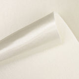 Geschäumter Stoff Rasete Pearl Grey - Ribes y Casals