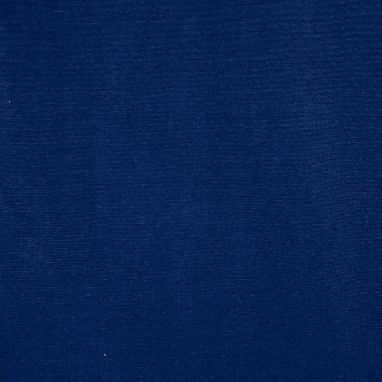 Weicher blauer Polyester-Samt - Ribes y Casals