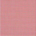 Vichy Kariertes Basic Rot Klein 40 - Ribes y Casals