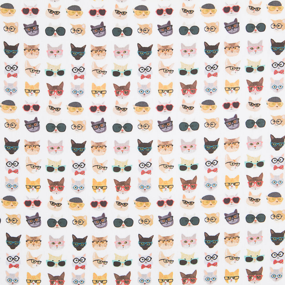 Baumwoll-Hipster-Katzen - Ribes y Casals