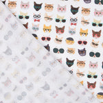 Baumwoll-Hipster-Katzen - Ribes y Casals