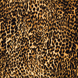 Leopard Baumwolle - Ribes y Casals