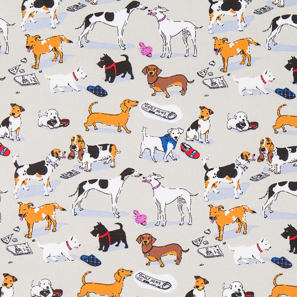Baumwollhunde Beige - Ribes y Casals