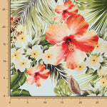 Baumwolle Moda Caribe Celeste - Ribes y Casals