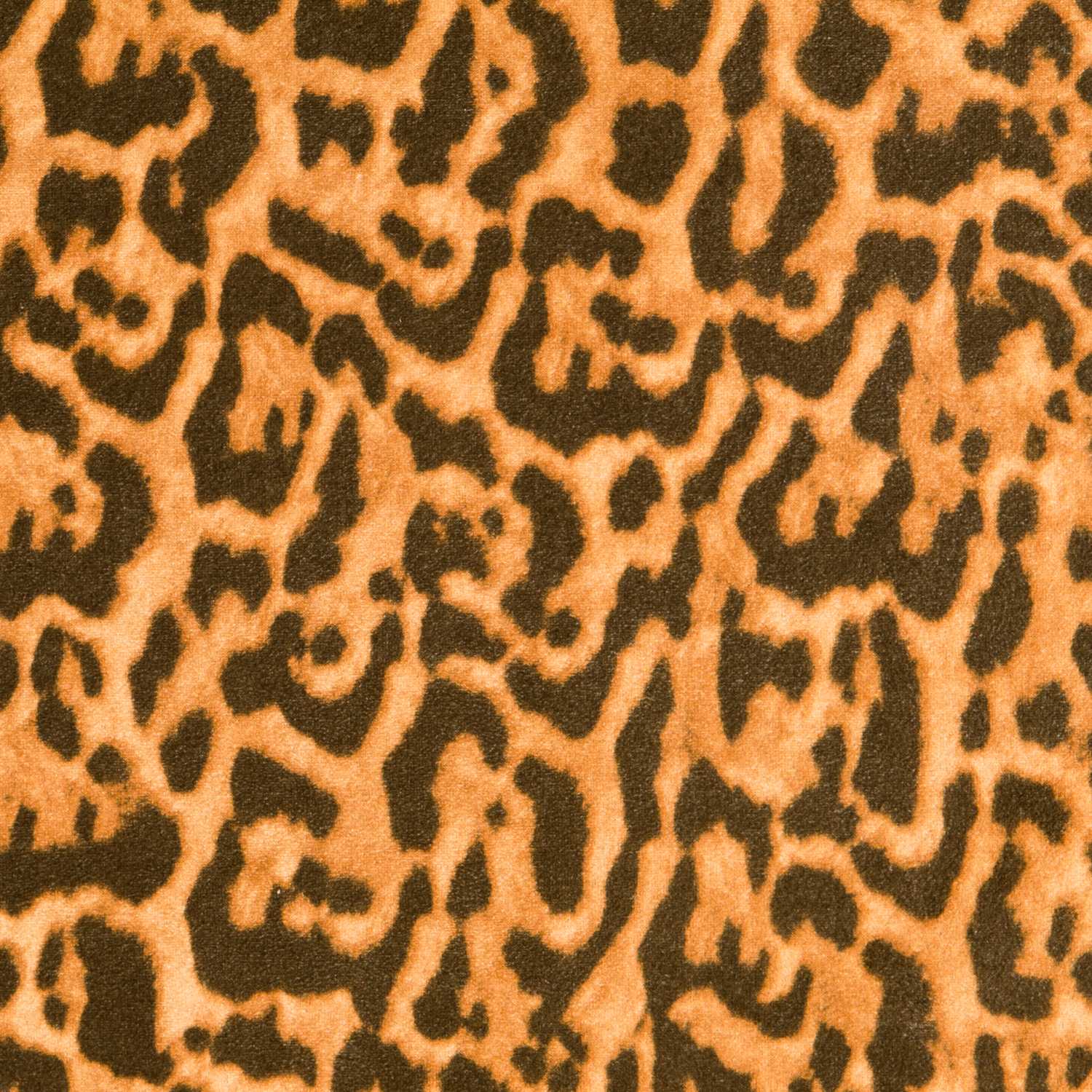 Antelina Animal Print Kamel - Ribes y Casals