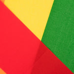 Regenbogen-Stolz-Flagge - Ribes y Casals