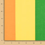 Regenbogen-Stolz-Flagge - Ribes y Casals