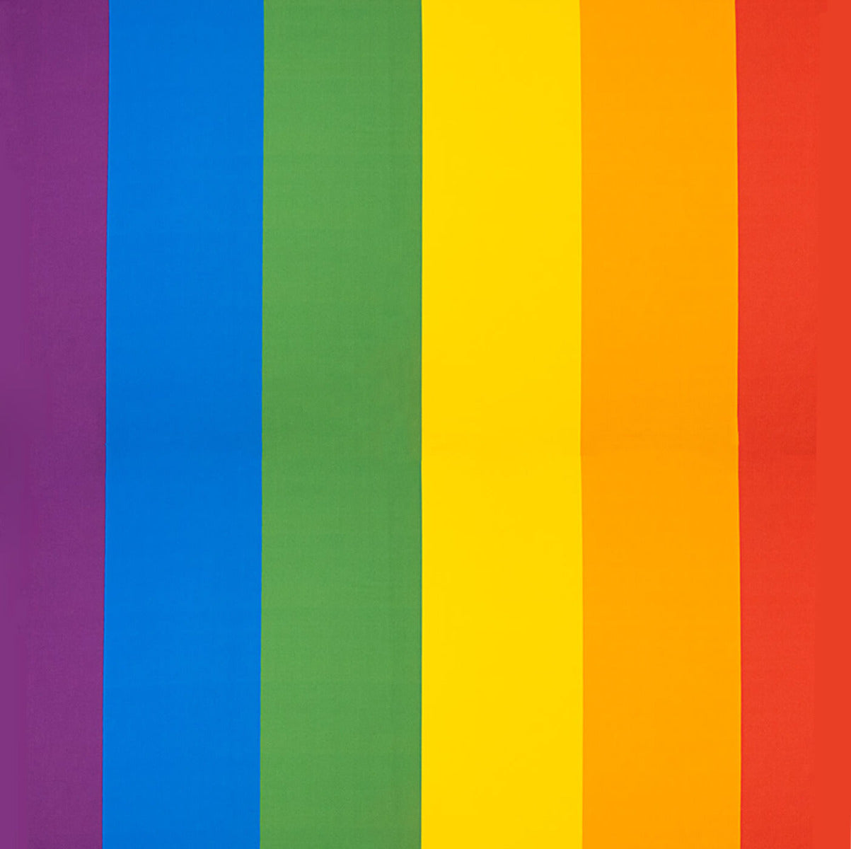 Regenbogen Stolz Flagge Matt - Ribes y Casals