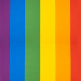 Regenbogen Stolz Flagge Matt - Ribes y Casals