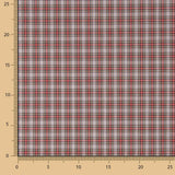 Hemd Baumwolle Tartan Grau - Ribes y Casals