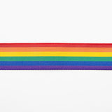 Regenbogenflagge Farbband - Ribes y Casals