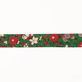 Bias Tape Weihnachten Grün 30mm - Ribes y Casals