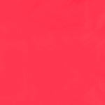 Polyester Windbreaker Rot - Ribes y Casals