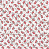 Krepp Polyester Mini Kaschmir Weiß - Ribes y Casals