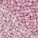 Krepp Viskose Rosa Blumen - Ribes y Casals