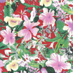 Knuspriges Milano-Oeillet Fond Rouge - Ribes y Casals