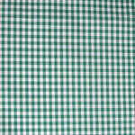 Vichy Grün Maxi Frame - Ribes y Casals