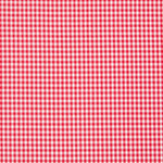 Vichy Rot Maxi Rahmen - Ribes y Casals