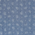 Denim Paisley Blau - Ribes y Casals