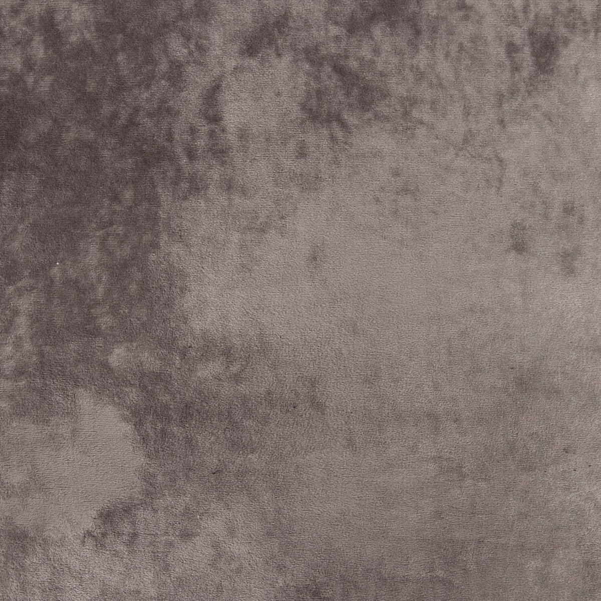 Doppelseitiges Minky-Polar Grau Medium - Ribes y Casals