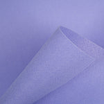 Lila Filz 1mm - 180gr - Ribes y Casals