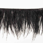 Feather Fringe Plus Schwarz - Ribes y Casals