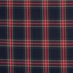 Blau karierter Flanell - Ribes y Casals