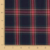 Blau karierter Flanell - Ribes y Casals