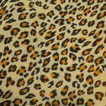 Kamel Leopard Gaze - Ribes y Casals