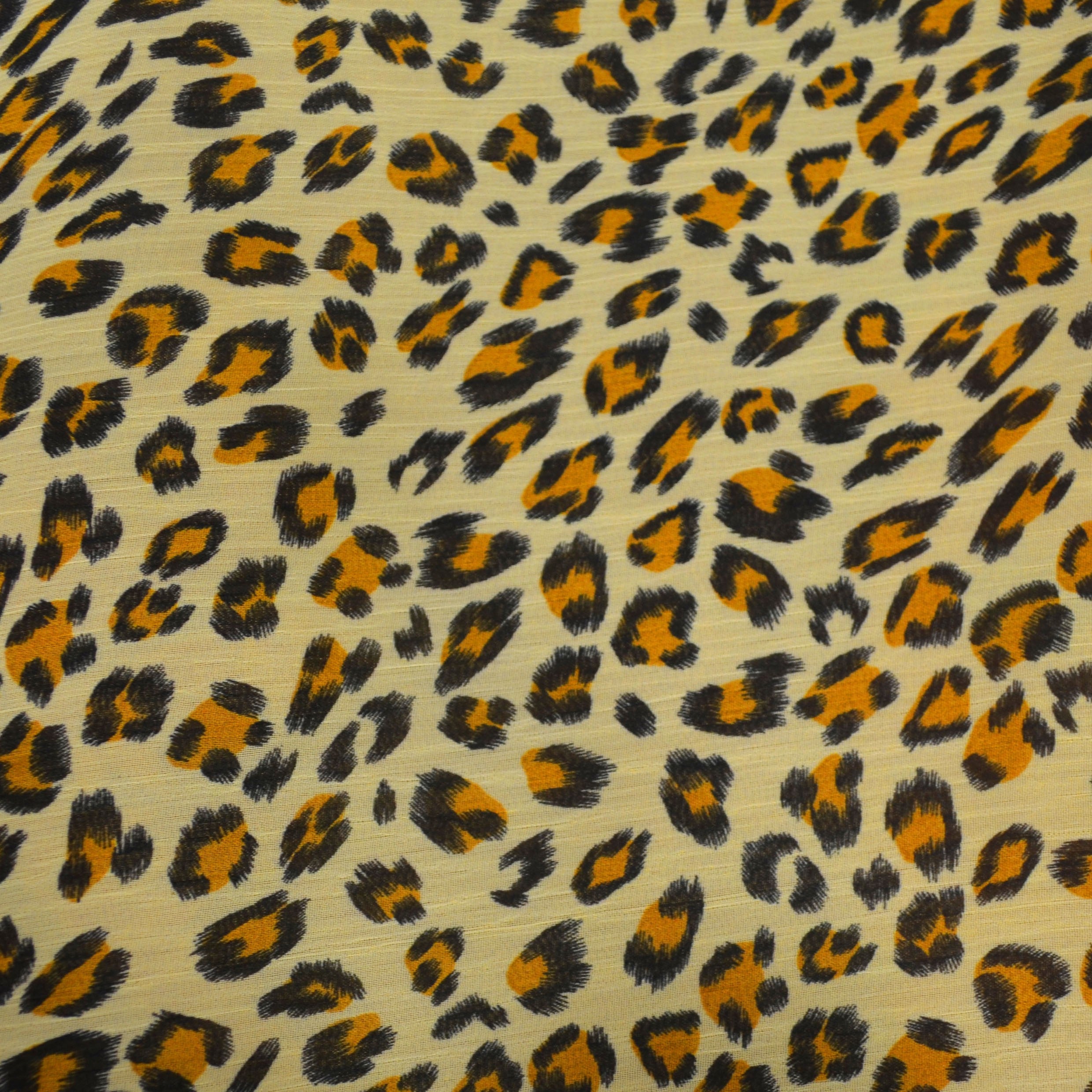 Kamel Leopard Gaze - Ribes y Casals