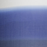 Degradé Seidengaze Blau - Ribes y Casals