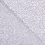 Mauve Polka Dots Lurex Gaze - Ribes y Casals