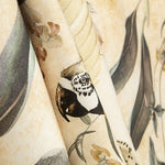 Bedrucktes Canvas mit Aras und Orchideen, Beige - Ribes y Casals