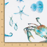 Halb Panama Caballos Mar Azul - Ribes y Casals