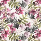Halbe Panama Orchideen Mauve - Ribes y Casals