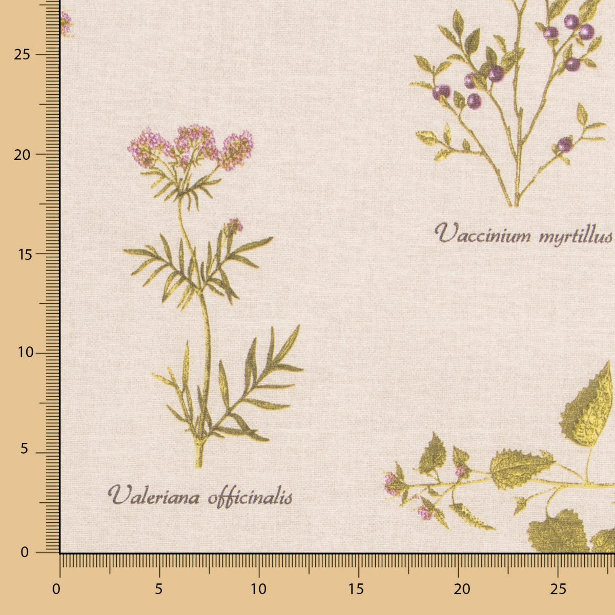 Botanic Rustic Fleckenschutz-Tischdecke - Ribes y Casals