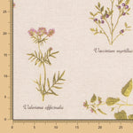 Botanic Rustic Fleckenschutz-Tischdecke - Ribes y Casals