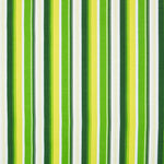 Bedrucktes Segeltuch Streifen Limette - Ribes y Casals