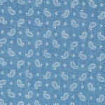 Denim Light Baumwolle Kaschmir Mini - Ribes y Casals