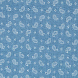 Denim Light Baumwolle Kaschmir Mini - Ribes y Casals