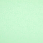 Mintgrüner geblümter Jacquard - Ribes y Casals
