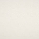 Jacquard-Elasthan-Wellen Ecru - Ribes y Casals