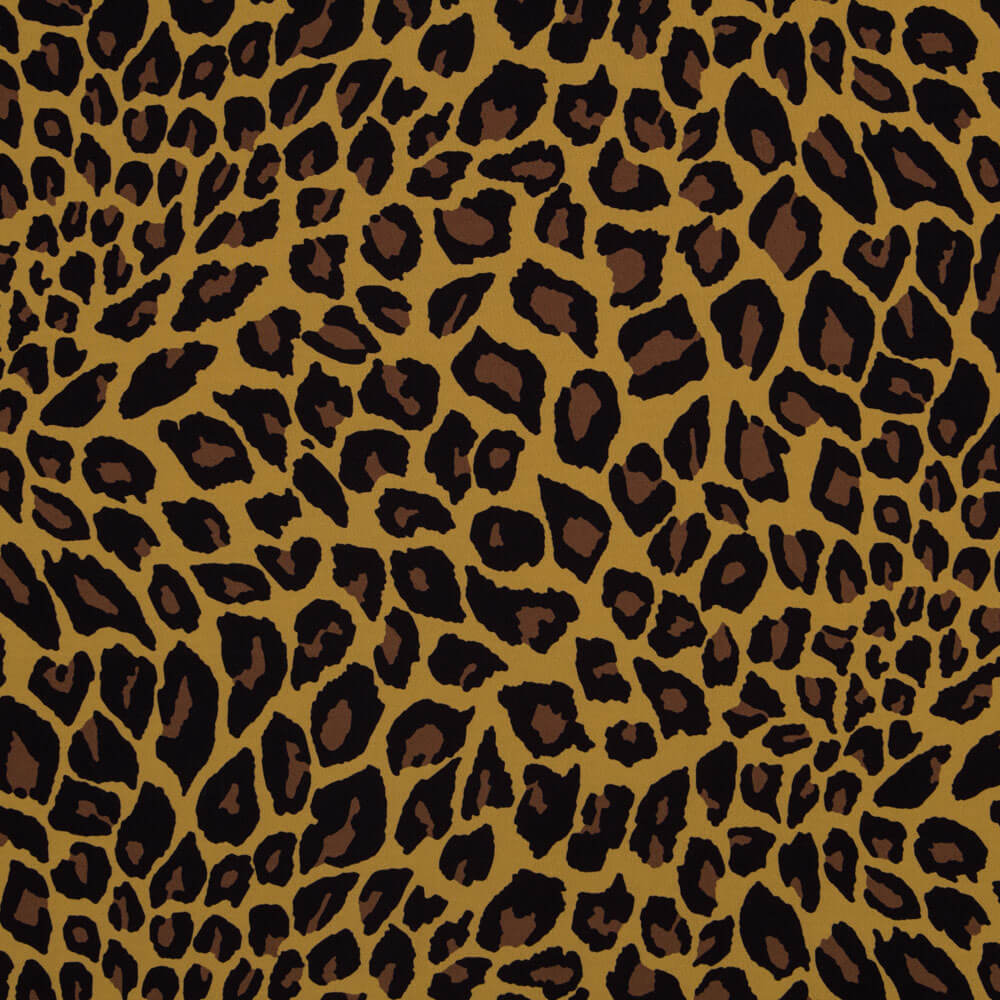 Leopard Dicker Matte Rash Guard - Ribes y Casals