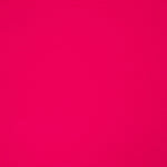 Pike Fuchsia Rash Guard - Ribes y Casals