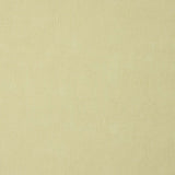 Grünlich-beige gewaschenes Leinen - Ribes y Casals